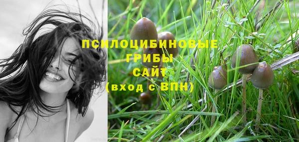 гидра Абинск