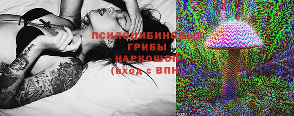 МДПВ Абаза