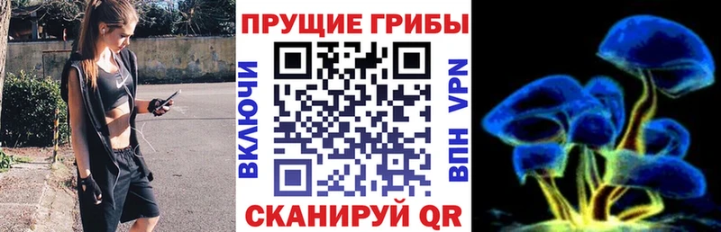 Галлюциногенные грибы Cubensis  где купить наркоту  Иннополис 